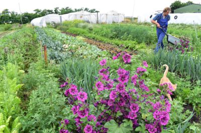 Landwirtschaft neu gedacht - mit Agroforstwirtschaft Zukunft pflanzen