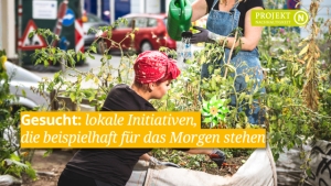 20230327 4 Kategorie N 300x170