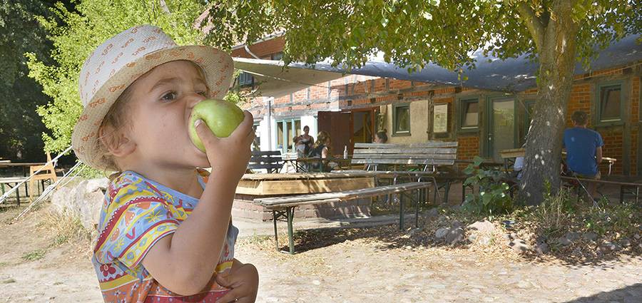 Sonntagscafé zum Tag der Regionen
