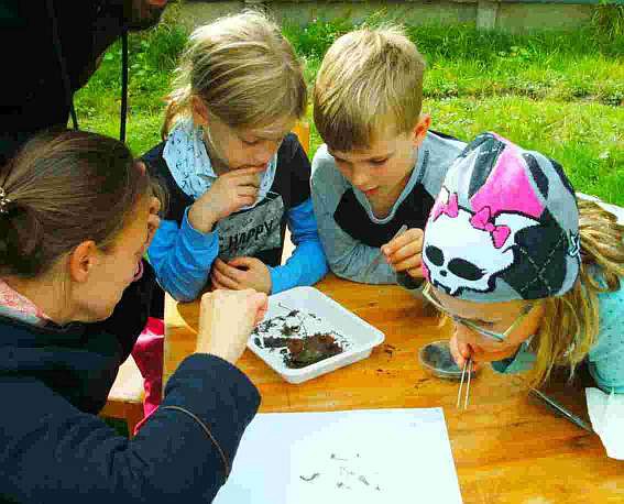 Bild: Celtis-Kulturgarten Umwelt und Müll
